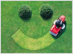 Alphabet Lawn Care Mobile Apps