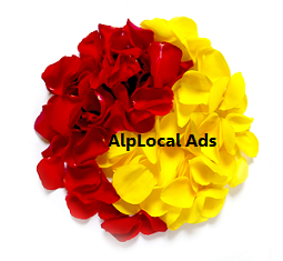 AlpLocal Dance Studio Mobile Ads