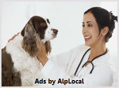 AlpLocal Pet Hotel Mobile Ads