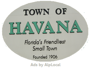 AlpLocal Havana Florida Mobile Ads