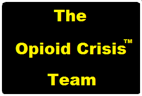 Alphabet - The Opioid Crisis Team